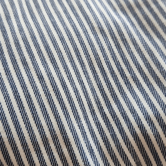 Lane Bryant Blue and White Vertical Stripe Lena Cropped Pants Size 18 (3066) - Picture 3 of 6